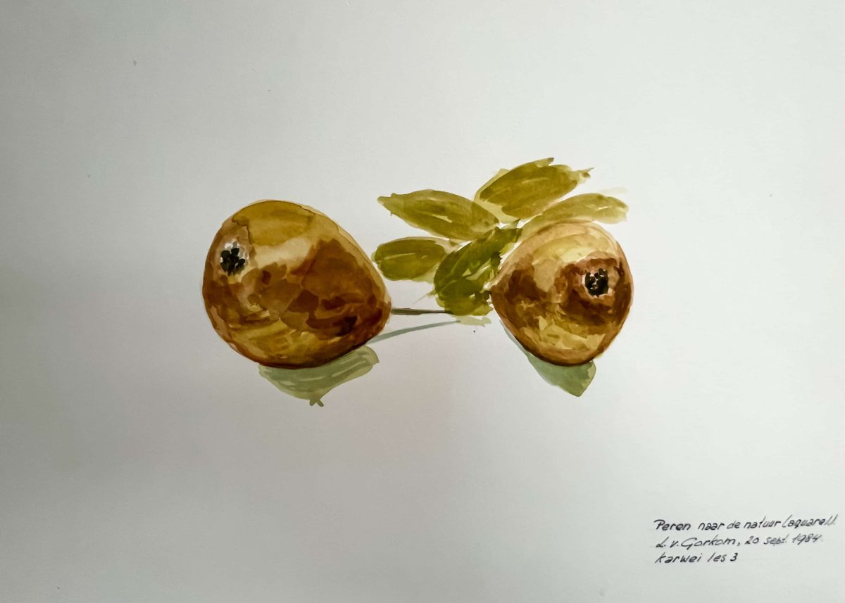 peren naar de natuur II