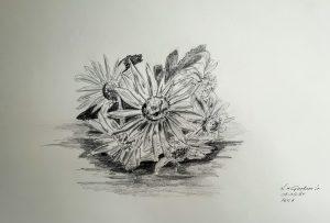 Louis van Gorkom - Zonder titel (Bloemen)