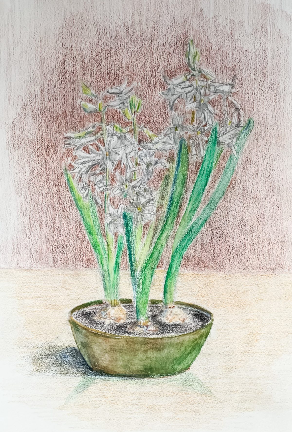 Witte hyacinten II