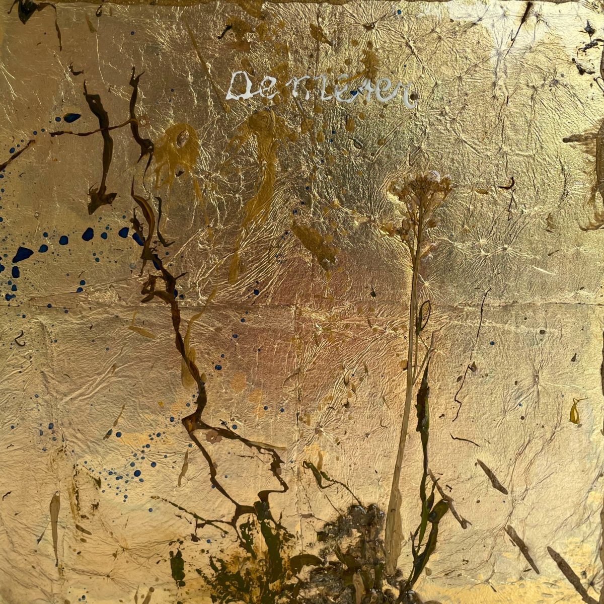 Flora I