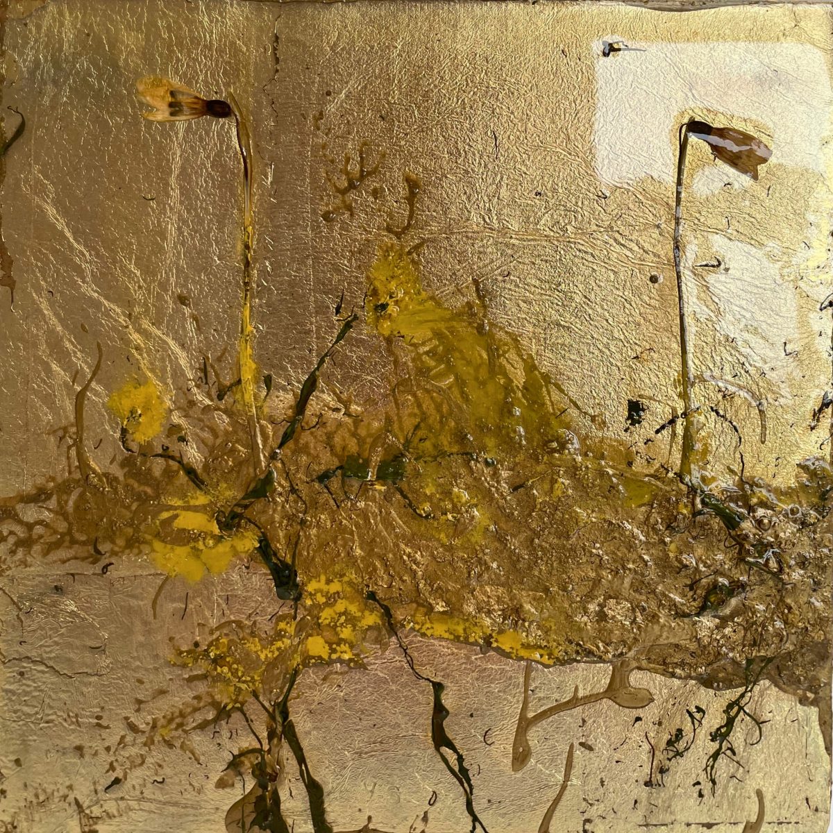 Flora II