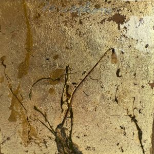 Bert van Santen - Flora VI