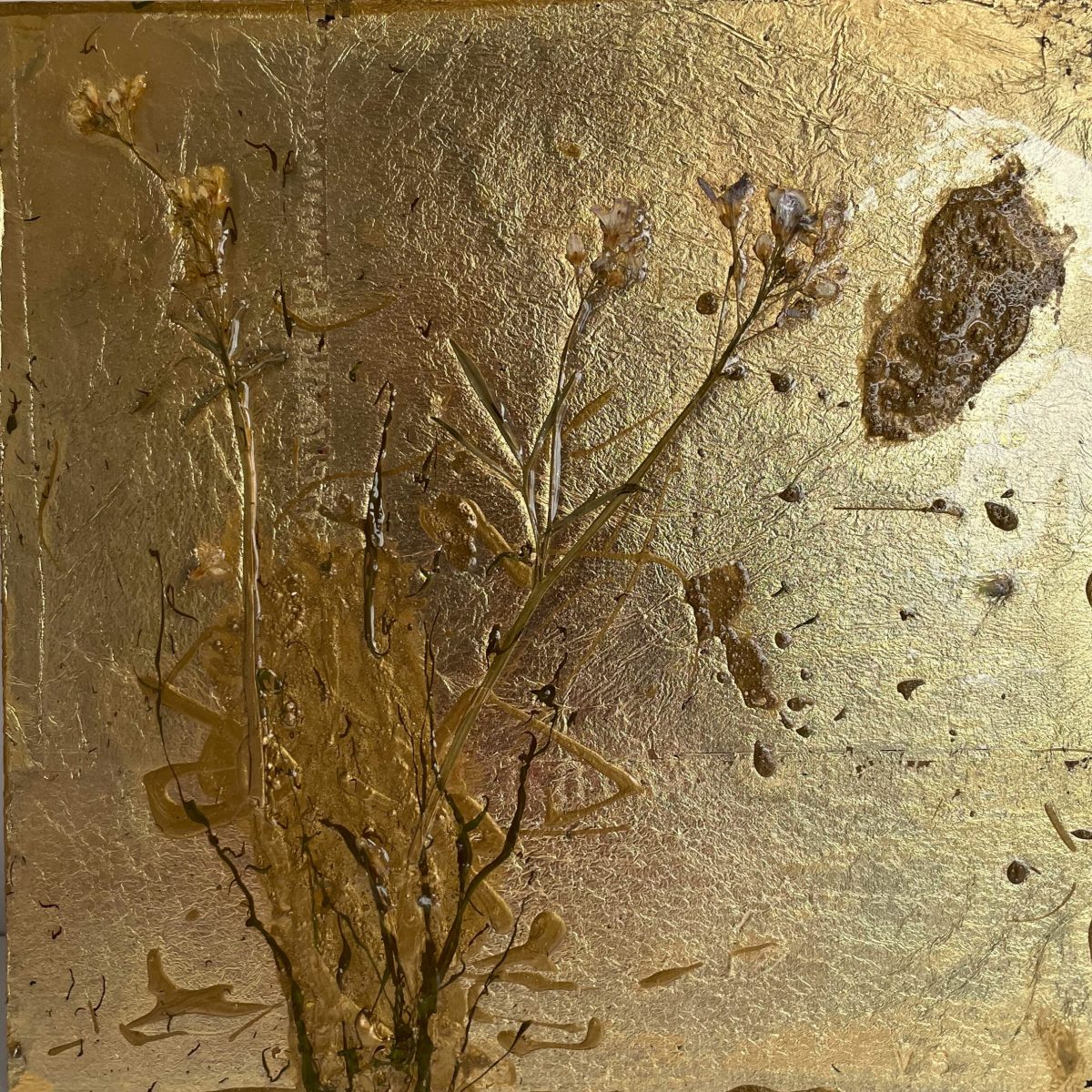 Flora VII