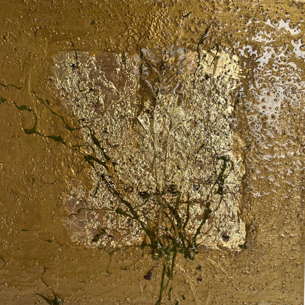 Flora VIII