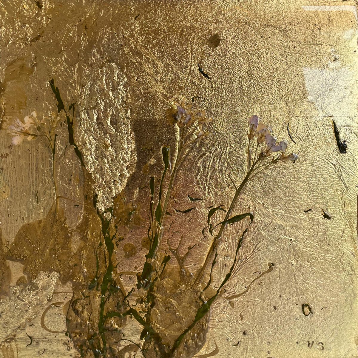 Flora XII