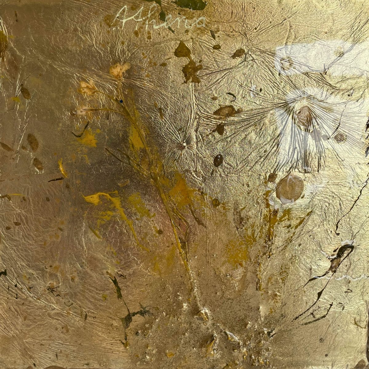 Flora XVIII