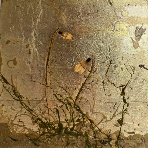 Bert van Santen - Flora XIV