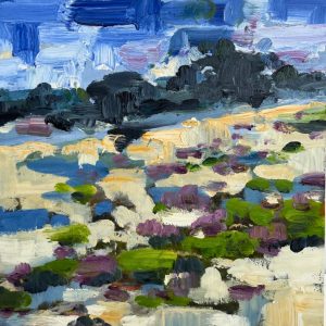 Bart Bosma - De Veluwe