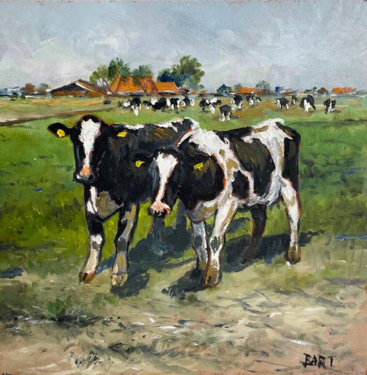 Bij Nijhuizum (Koeien)