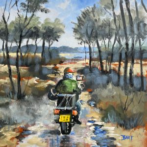 Bart Bosma - Oud Reemst op de Veluwe