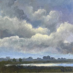 Sjoerdtje Hak - Uiterwaarden