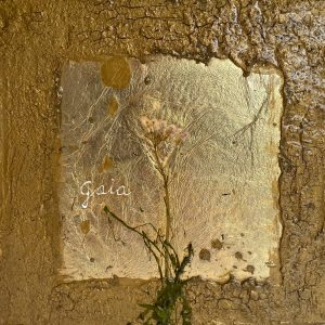 Bert van Santen - Flora XVII
