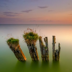 Thomas van der Laan - Begroeide Golfbrekers