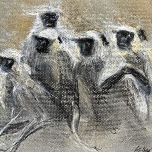Kim Stabin - Apen X