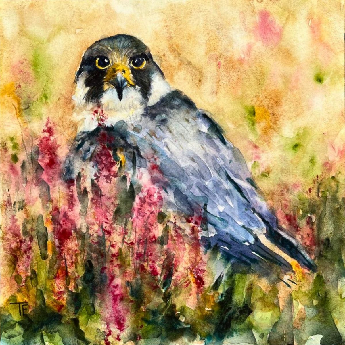 Zonder Titel VII