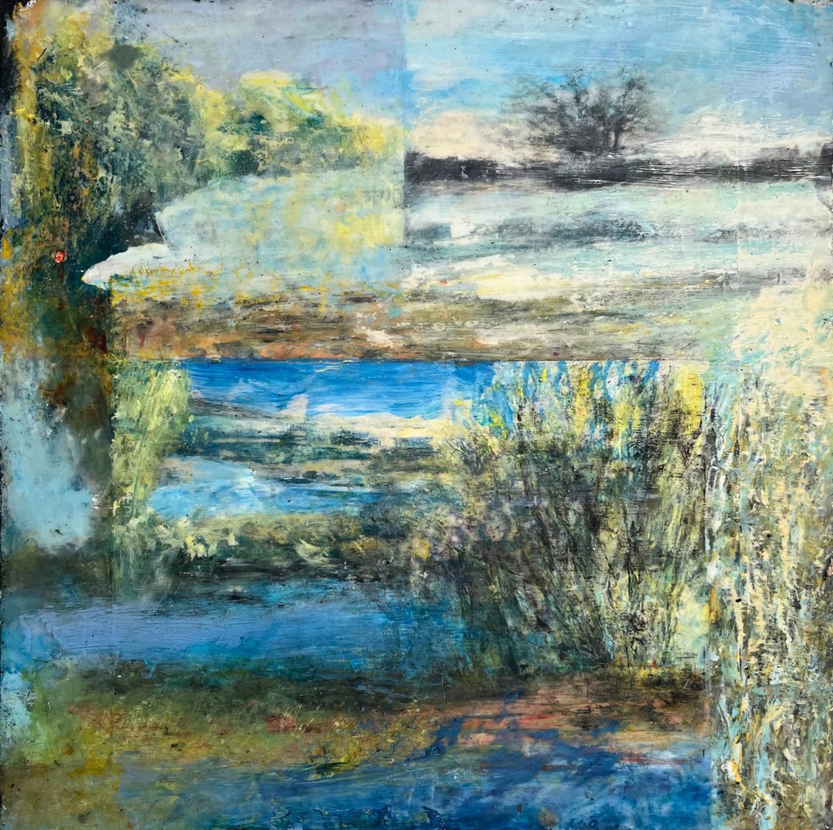 Water-Land 1