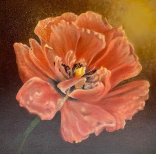 Froukje Torensma-Stol - Tulipe Aeterna