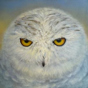 Froukje Torensma-Stol - Sneeuwuil