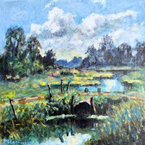 Peter Stechweij - De Duiker