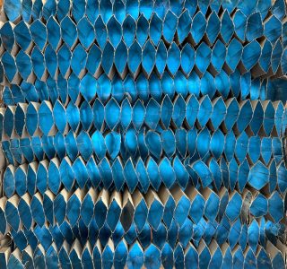 Tineke Szarzynski - Zonder titel II
