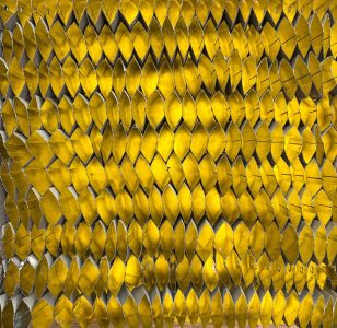 Tineke Szarzynski - Zonder titel IV