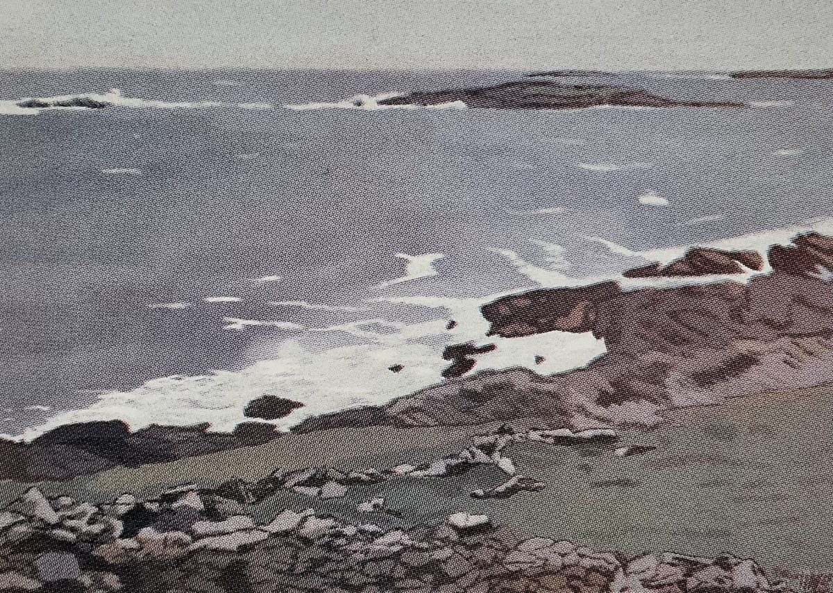 Brandon Point
