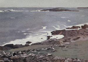 Saskia van Montfort - Brandon Point