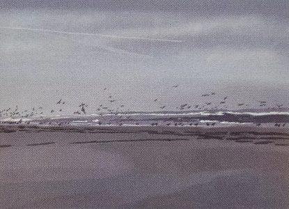 Saskia van Montfort - Zwarte haan