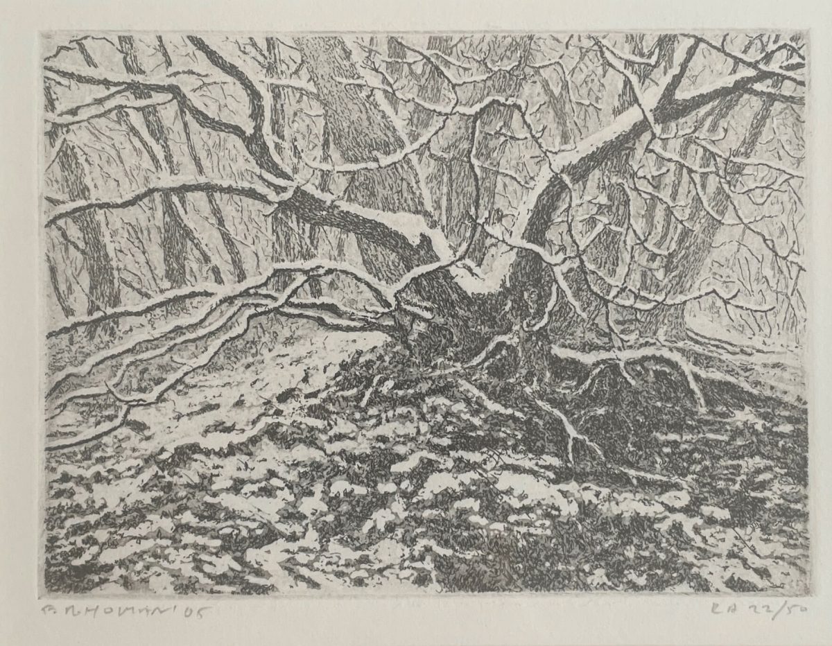 Bosbeek
