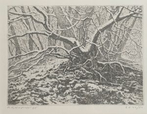Reinder Homan - Bosbeek