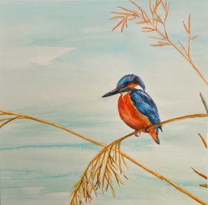 Christel Cannister - van der Ros - Ijsvogel