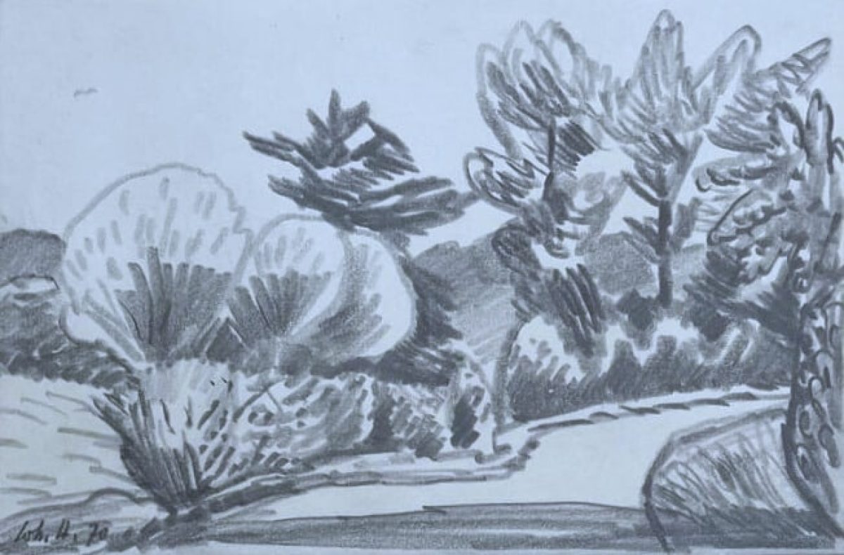 Pas du Calais IX