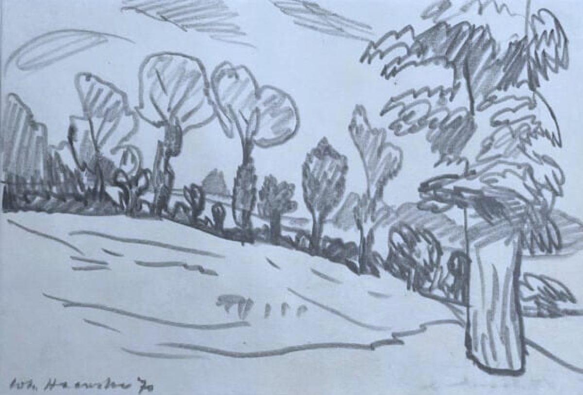 Pas du Calais XII