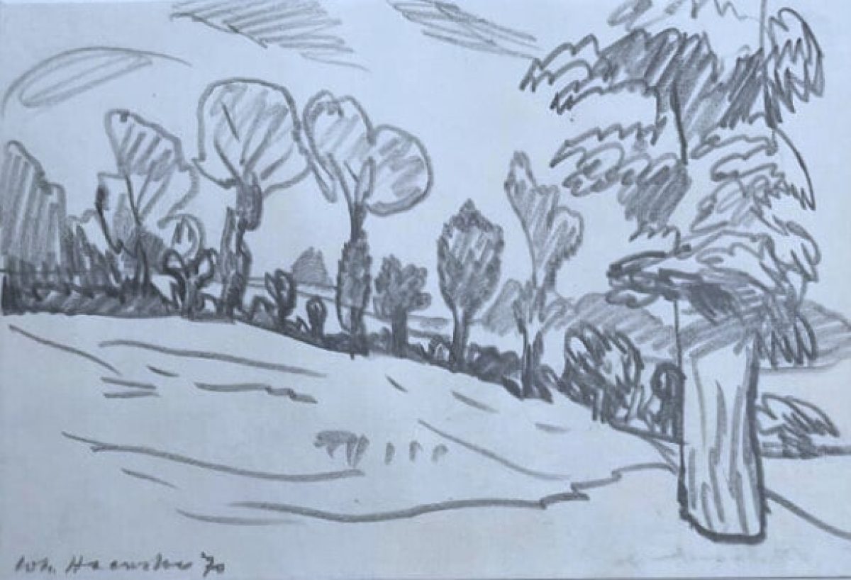 Pas du Calais XIV