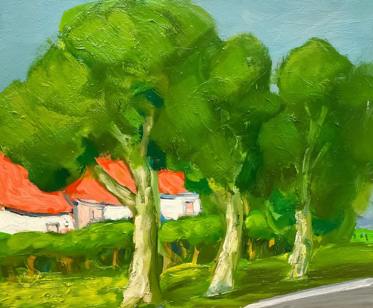 Landschap II