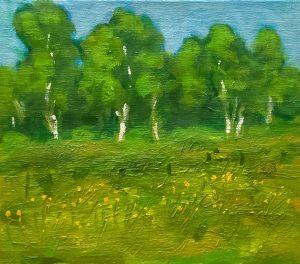Wim van der Veer - Landschap VII