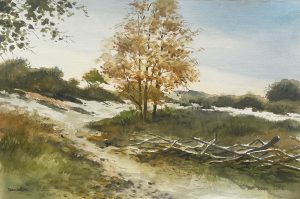 Bart Bosma - Terschelling XI