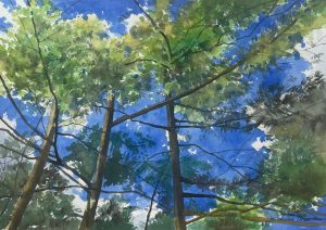 Bart Bosma - Het Lorkenbos Otterlo