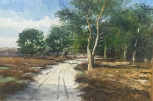 Bart Bosma - Het Planken Wambuis