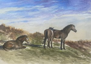 Bart Bosma - Het woud bij Egmond