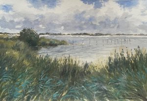 Bart Bosma - De Idzegaaster Poel