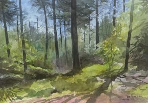 Bart Bosma - Landgoed Eeserveen