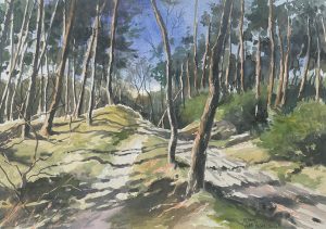 Bart Bosma - Otterlo