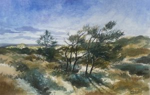 Bart Bosma - Terschelling X