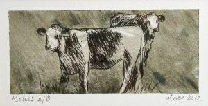 Doet Boersma - Kokes