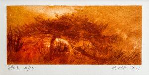 Doet Boersma - Sterk