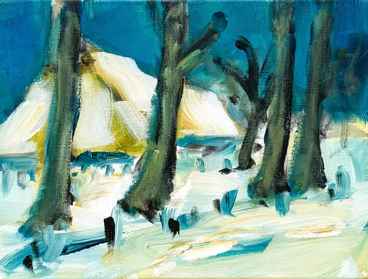 Winters Landschap de Wâlden (omgeving Readtsjerk) |||