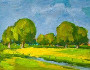 Wim van der Veer - Winters Landschap de Walden (omgeving Readtsjerk) V