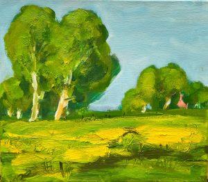 Wim van der Veer - Landschap de Walden (omgeving Ryptsjerk) V