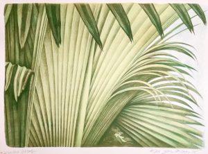 Jean Paul Vroom - Tropicana